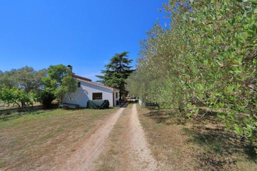 Apartmani Pjer 2 Bibinje Kültér fotó